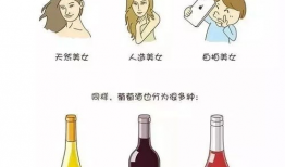 漫画葡萄酒,品味与艺术的交融